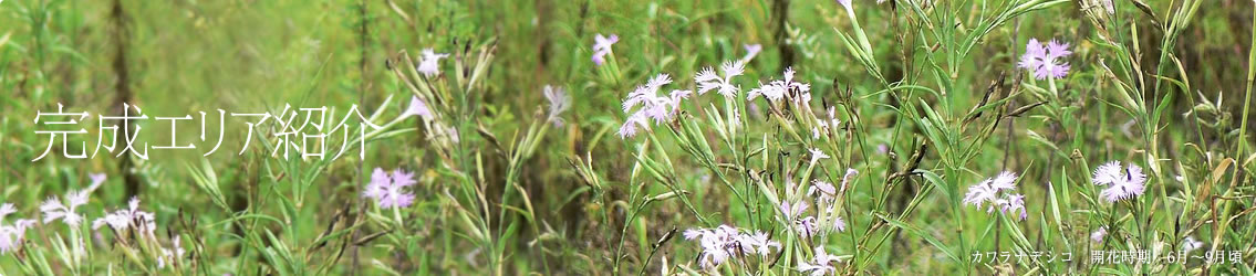 完成エリア紹介